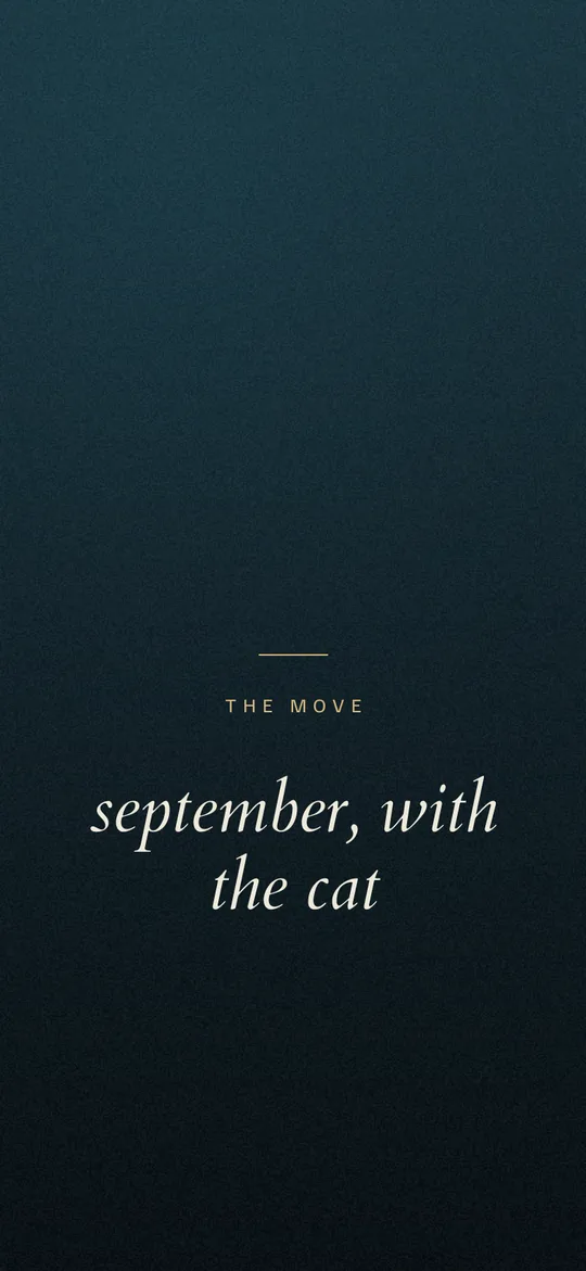 A moving abroad vision board lock-screen wallpaper: deep teal ocean gradient with THE MOVE in small tracked capitals above the line september, with the cat in italic serif